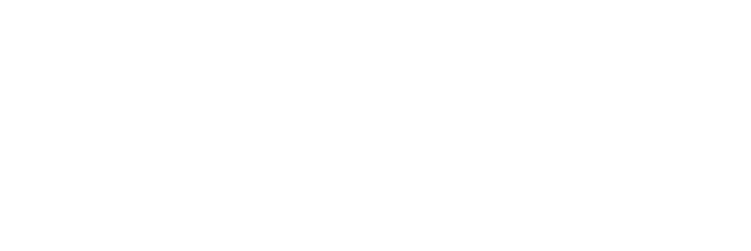 logo alnajm-03